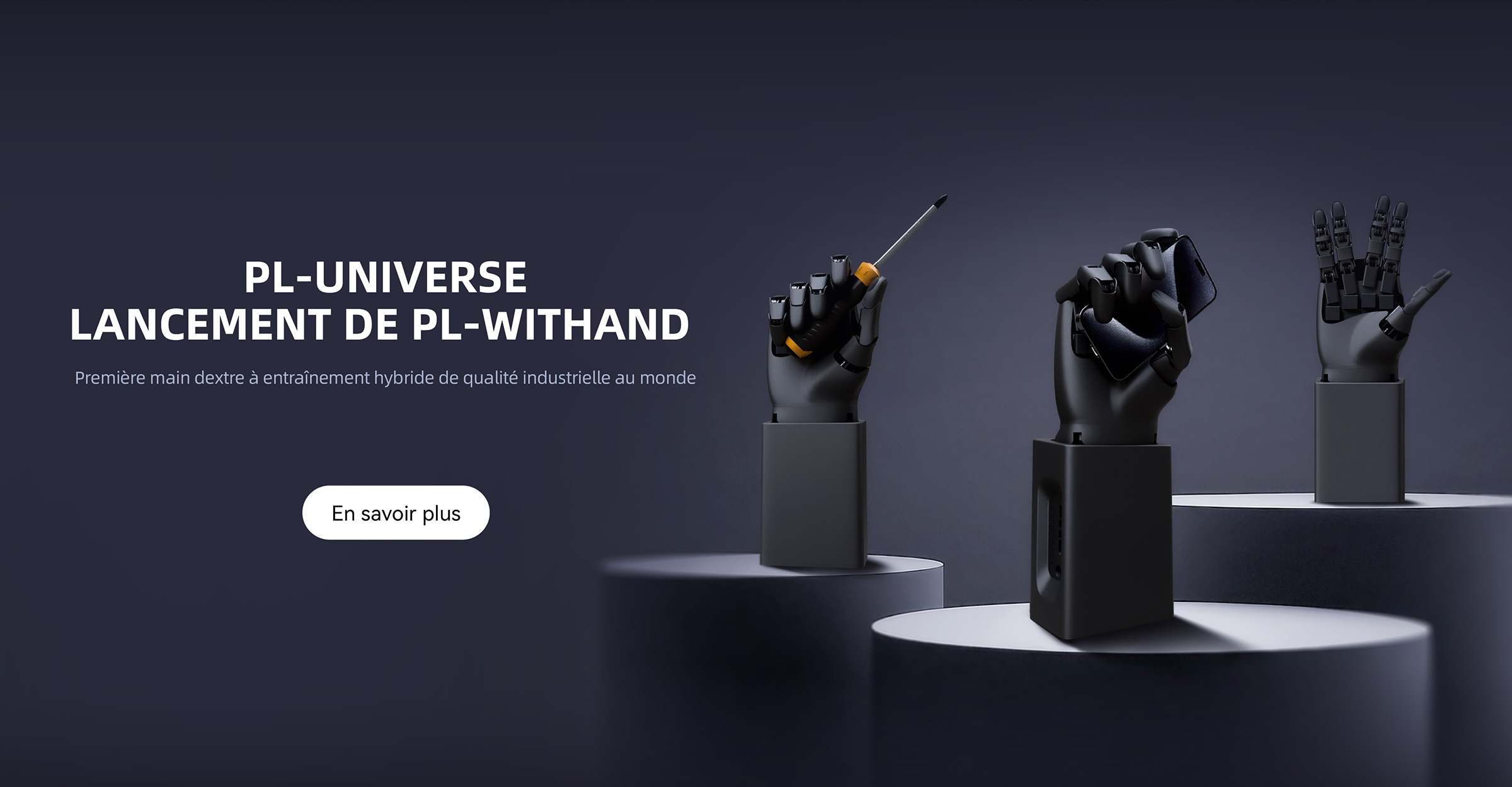 PL-WitHand Dexterous Hand